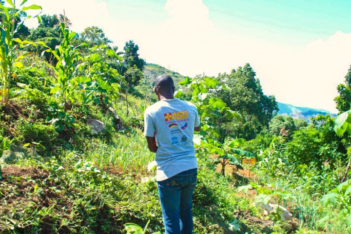 IMG-20221108-WA0030-2